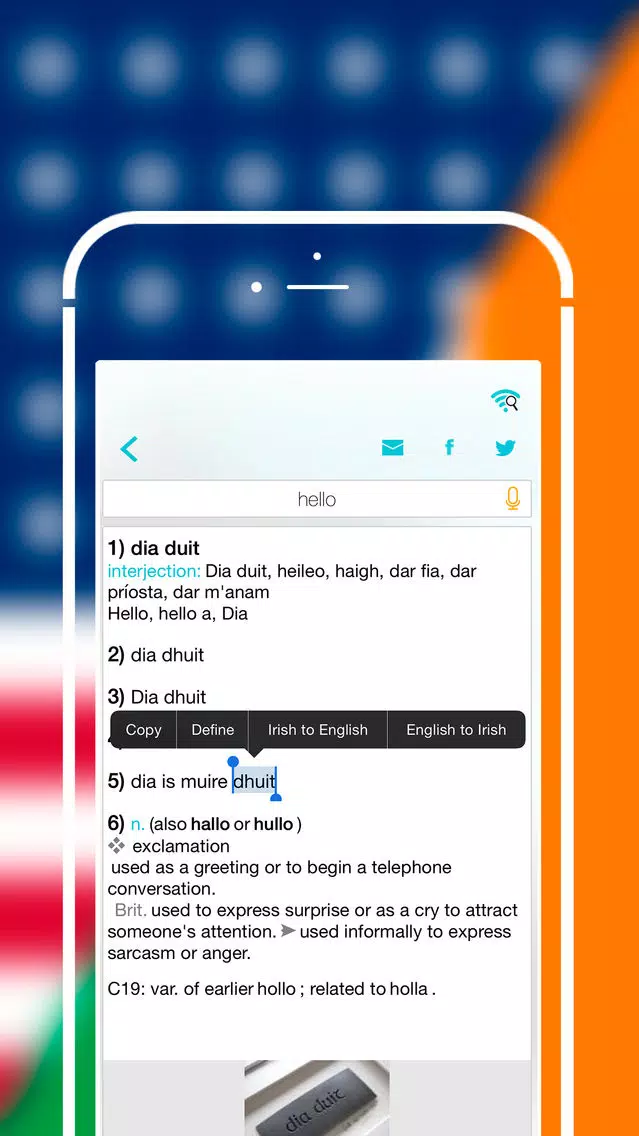 Offline Irish to English Language Dictionary Screenshots