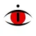 dideye *Flashback video camera