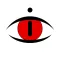 dideye *Flashback video camera