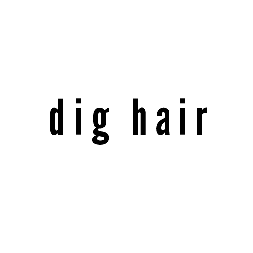 D.I.G corporation