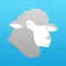 LTEM Lifetime Ewe Management