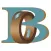 Bunting Bearings LLC