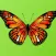 Beautiful Butterfly Sticker Pack