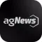 AgNews Suínos