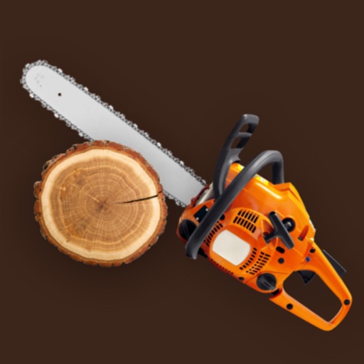 Chainsaw Chainsaw