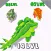 Dinosaur Evolution:Runner Game
