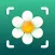 Plant, Flower Identifier&Care