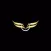 BLK Luxury Chauffeurs (Driver)