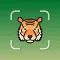 Animal Identifier - iSpecies