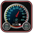 DS Speedometer & Odometer