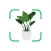 Flower Identifier - Petals