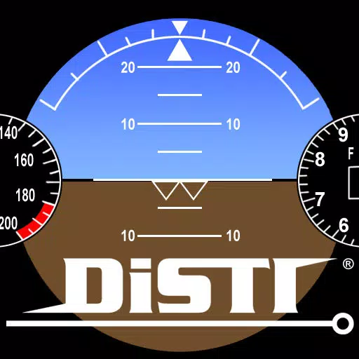 DiSTI Flight Gauges DiSTI Flight Gauges