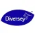 Diversey CSV