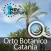 Cento piante da scoprire nell'Orto Botanico di Catania
