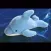 Maty: The Dolphin Who Plays The Piano