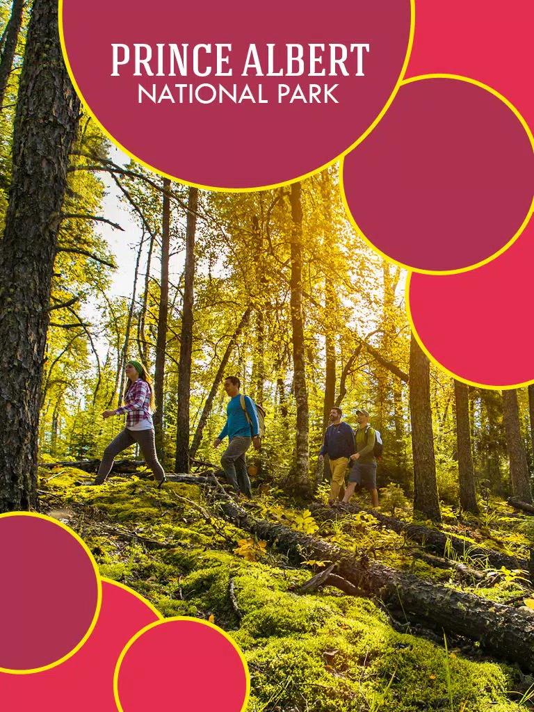 Prince Albert National Park Guide iPad Screenshots