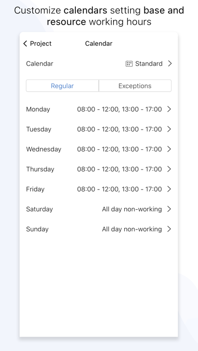 Project Office X: Gantt chart Screenshots