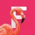 Flamingo Tropical Stickers