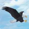 Exotic Bird Stickers