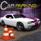 Modern Car Drive Parking 3D