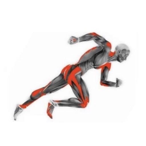 DML SPORTS THERAPY