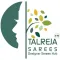 Talreja Sarees