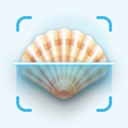 Sea Shell Identifier & Guide Sea Shell Identifier & Guide