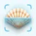 Sea Shell Identifier & Guide