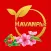 HavanPlus