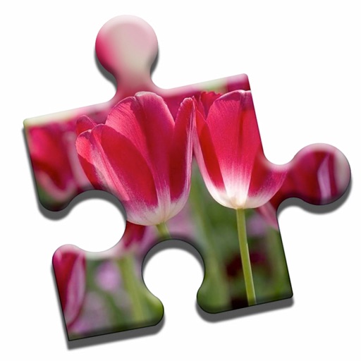 Blooming Flowers Puzzle Blooming Flowers Puzzle