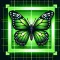 Bug identifier・Insect Scanner