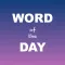 Word of the Day: Widget