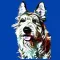 Doggone Dogs