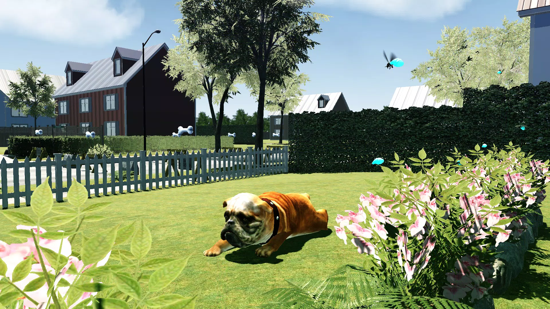 Bull Dog Simulator Screenshots