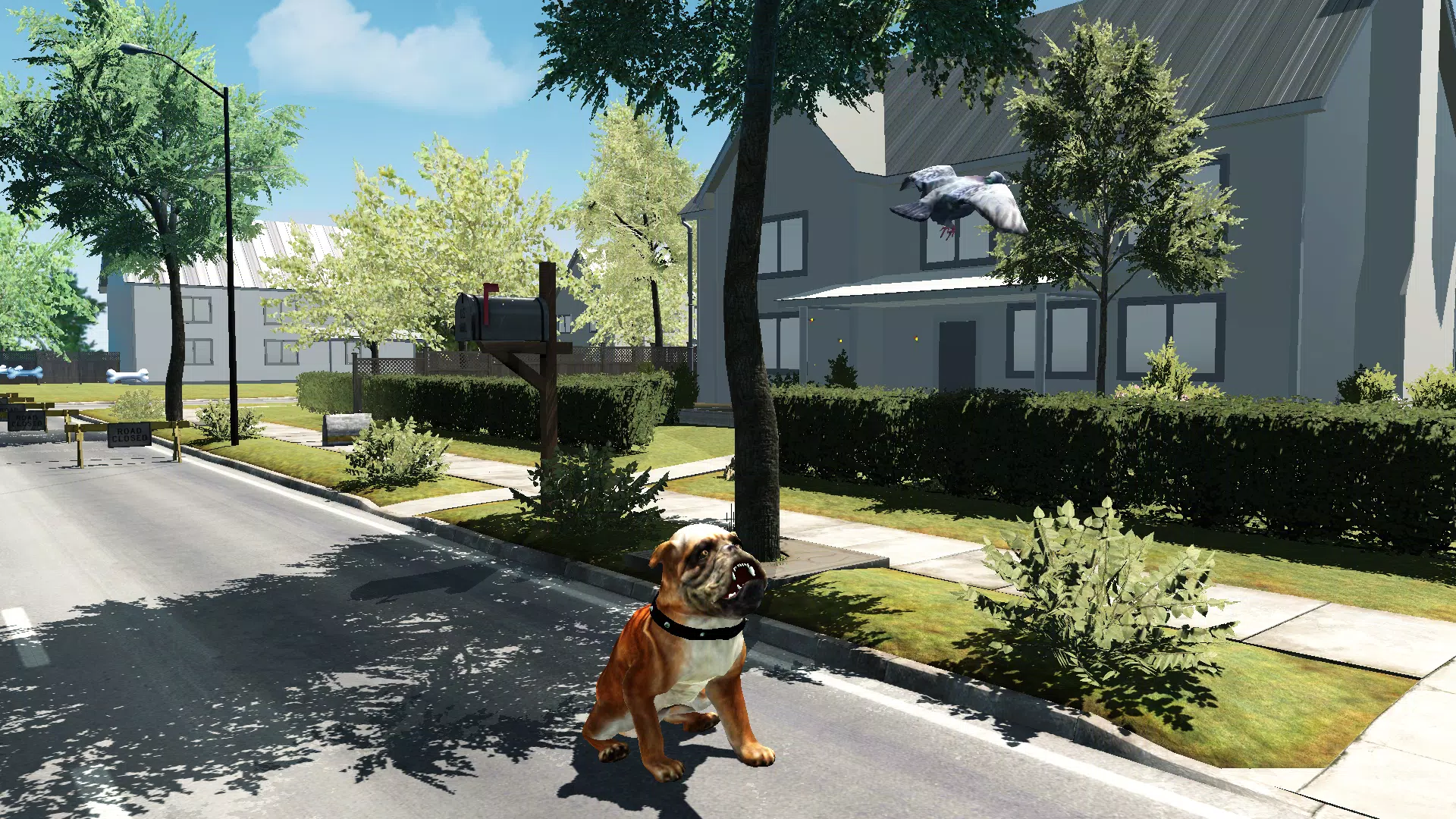 Bull Dog Simulator Screenshots