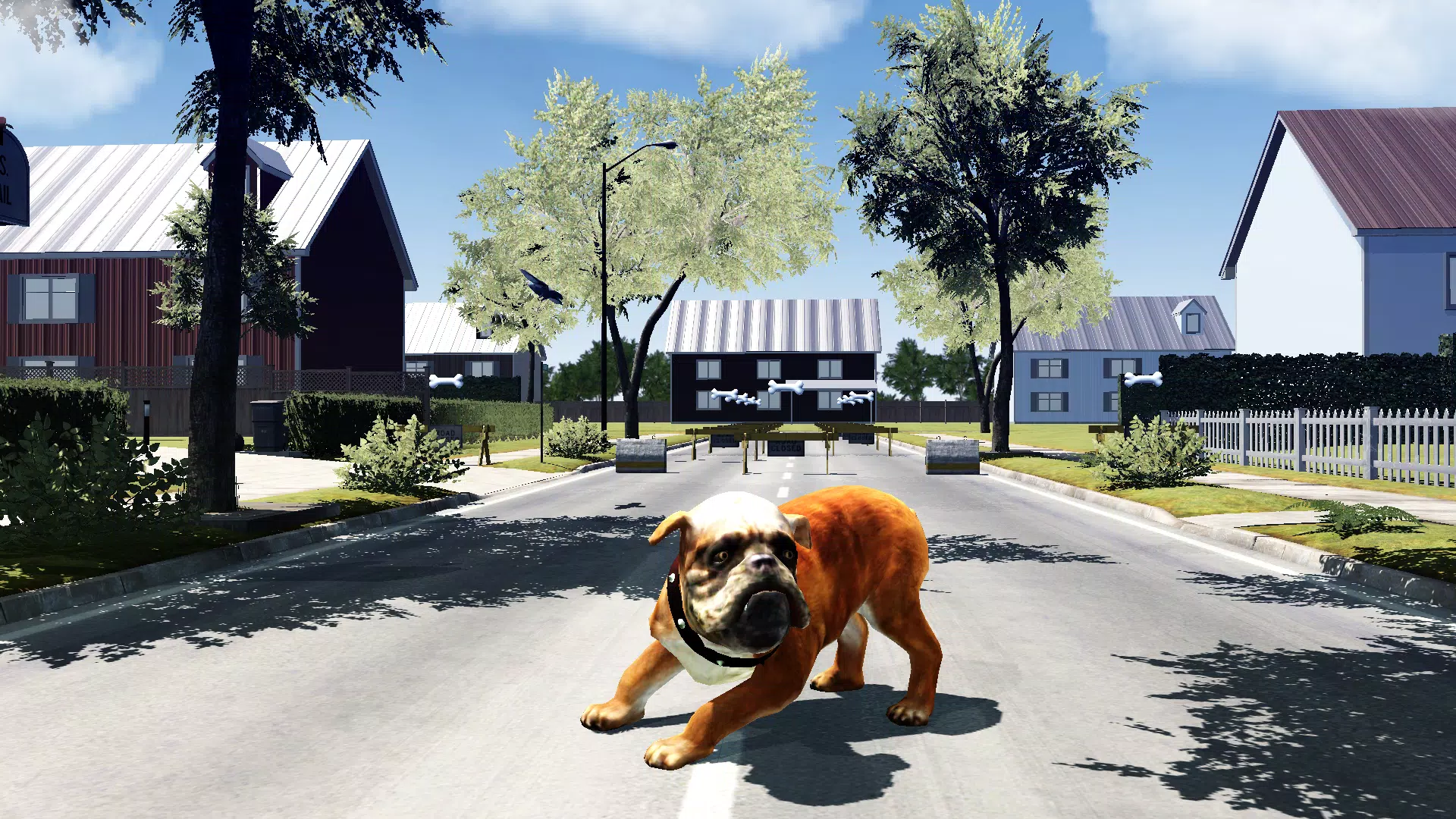 Bull Dog Simulator Screenshots