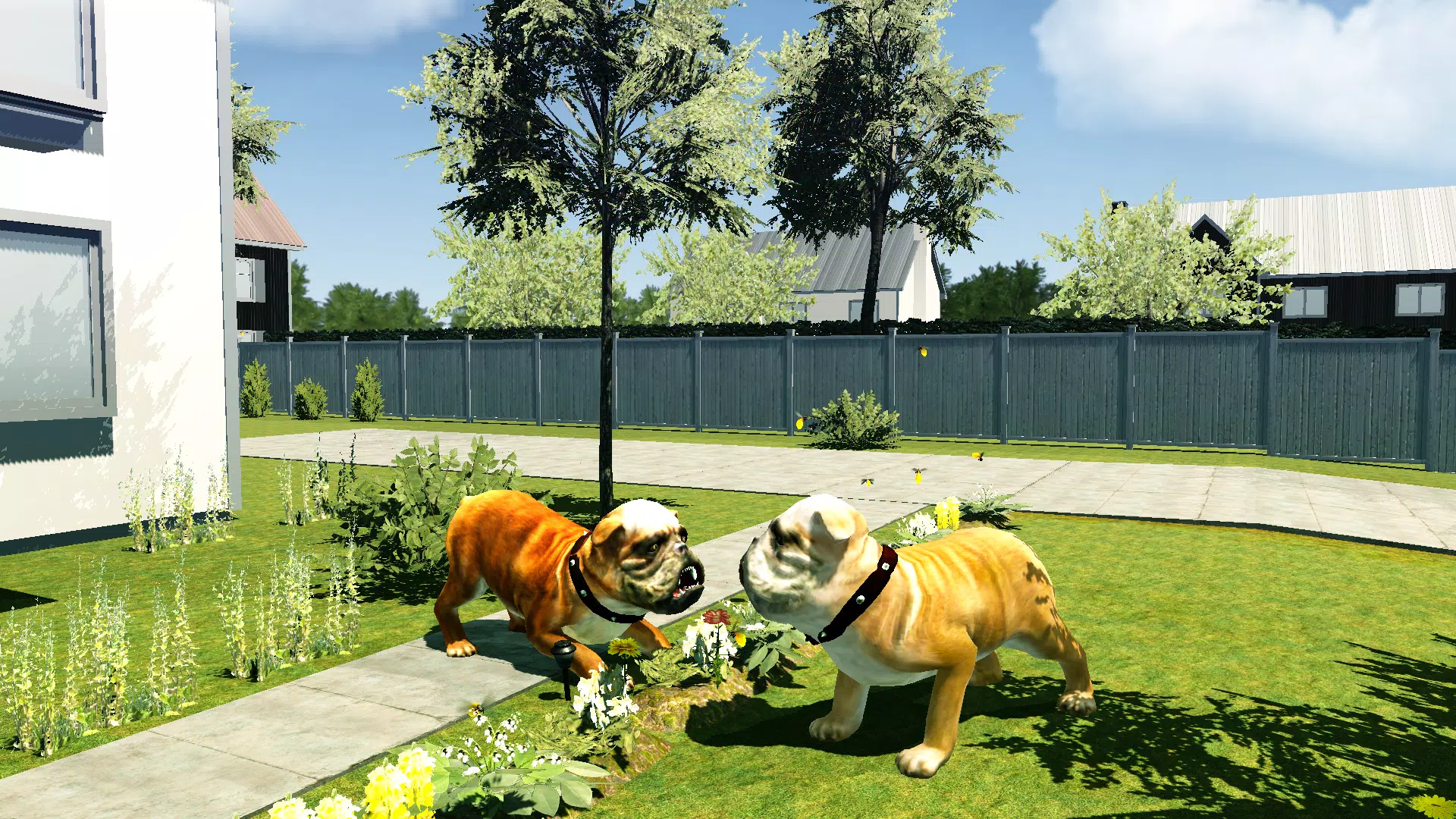 Bull Dog Simulator Screenshots