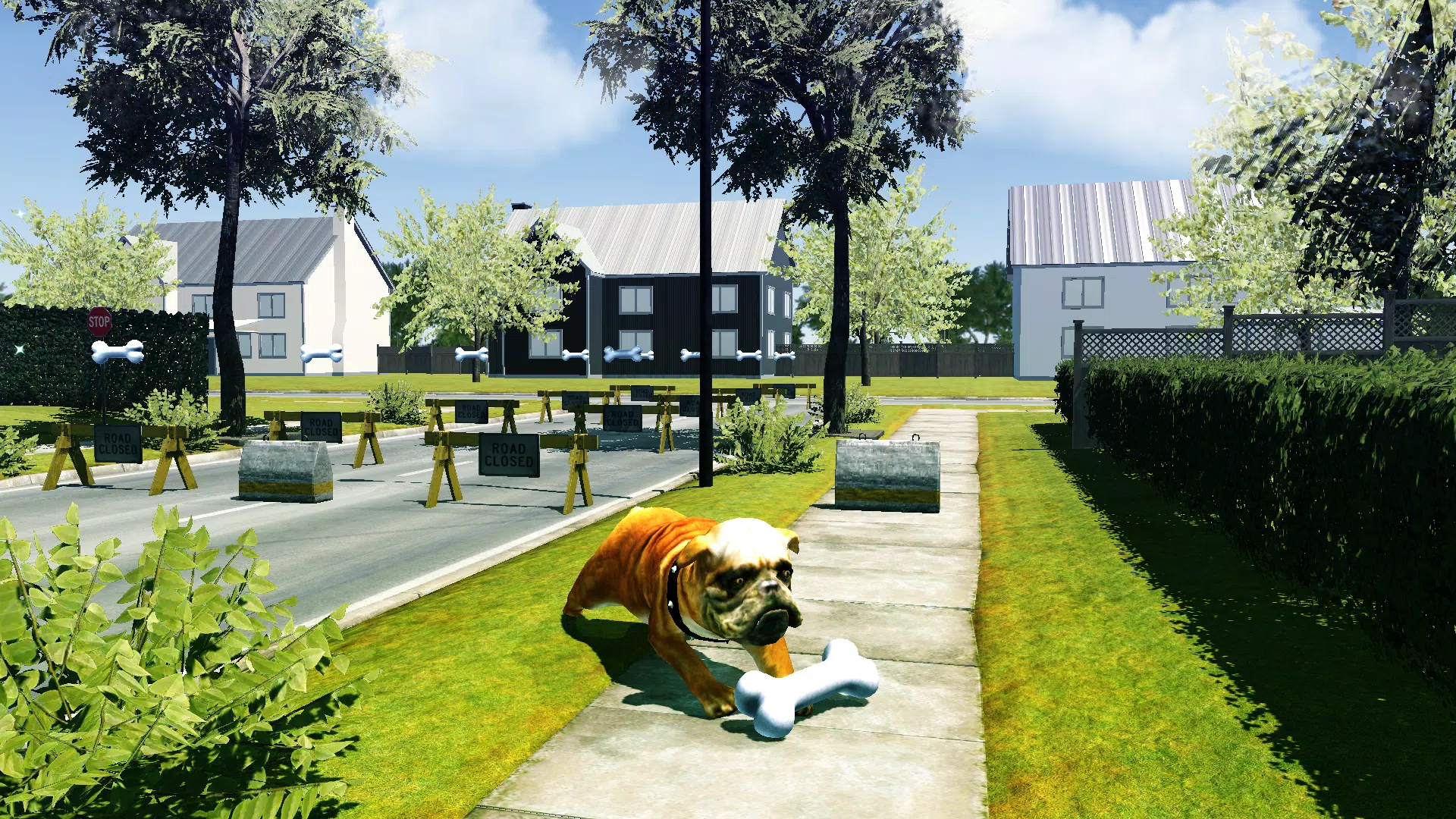 Bull Dog Simulator Screenshots