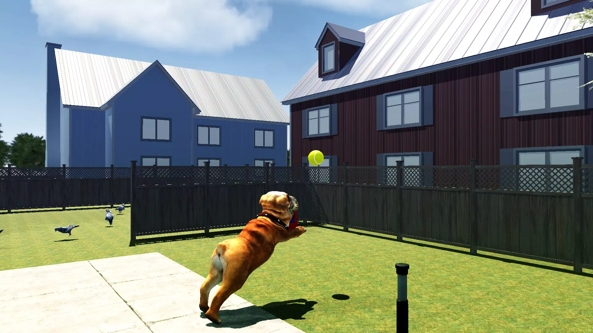 Bull Dog Simulator Screenshots