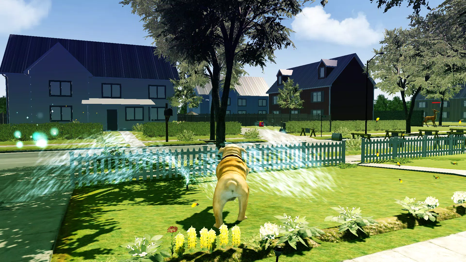 Bull Dog Simulator Screenshots
