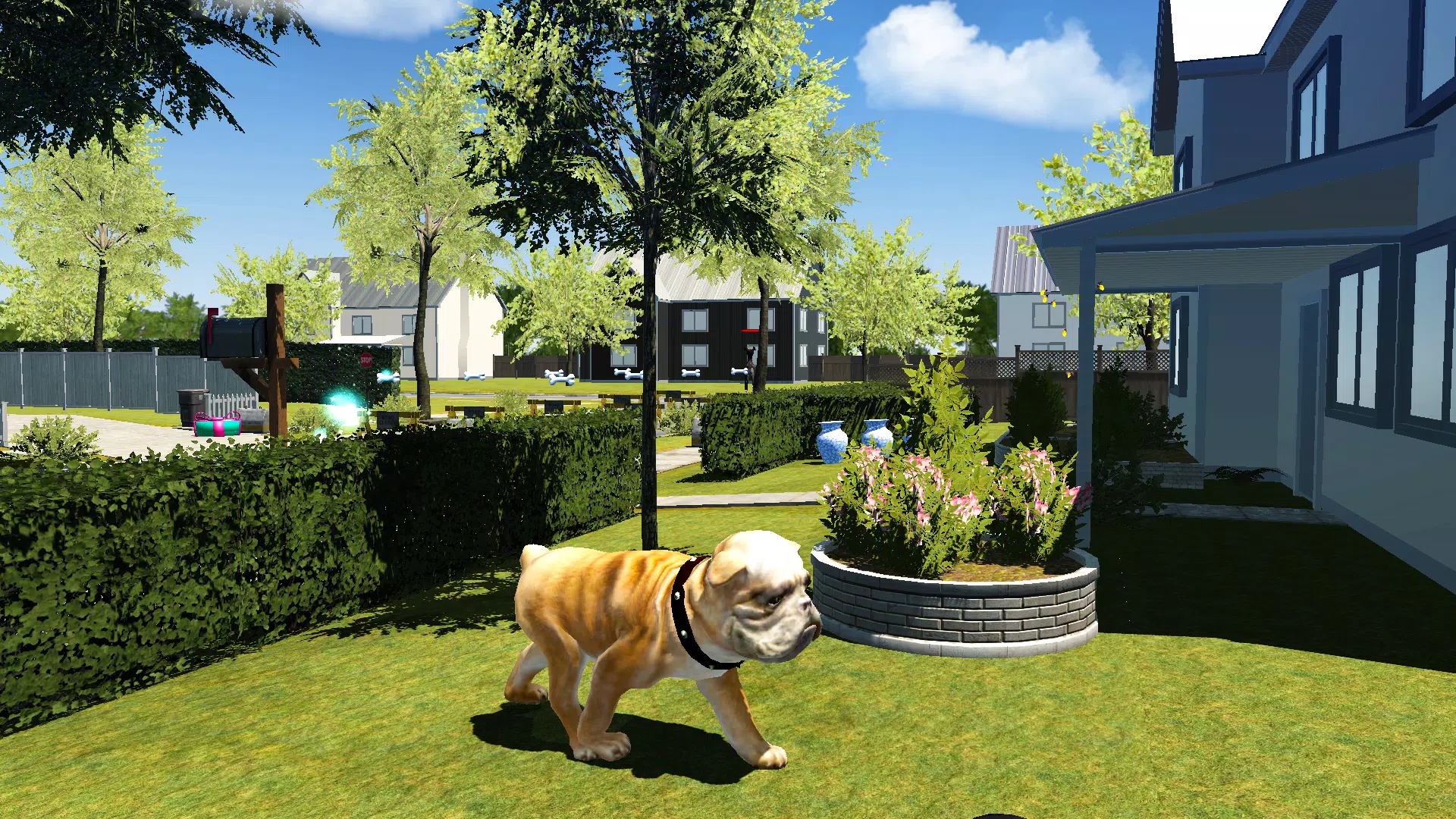 Bull Dog Simulator Screenshots