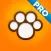 Perfect Dog Pro - Ultimate Breed Guide To Dogs