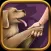 Dog Training Tips