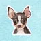 Dog WAStickers Pack