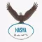 H.A.S.Y.A