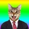 Animated Cat Stickers .