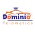 Dominio Telematics