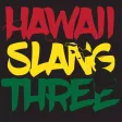 Hawaii Slang Sticker Pack 3