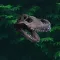 Dino Quiz 4 Kidz