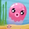 Marine Rescue Animals